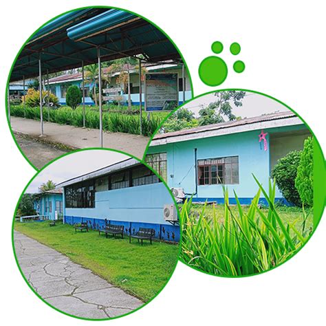 bisu ismis faculty|ISMIS – Bohol Island State University – Bilar Campus.